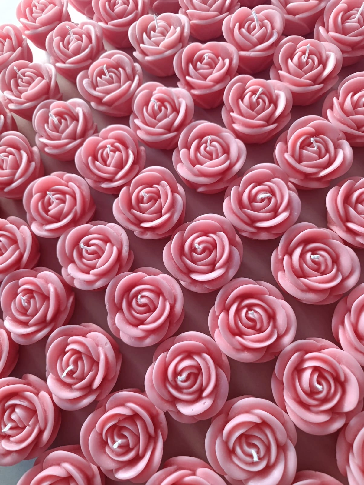 Vela Rosa 2