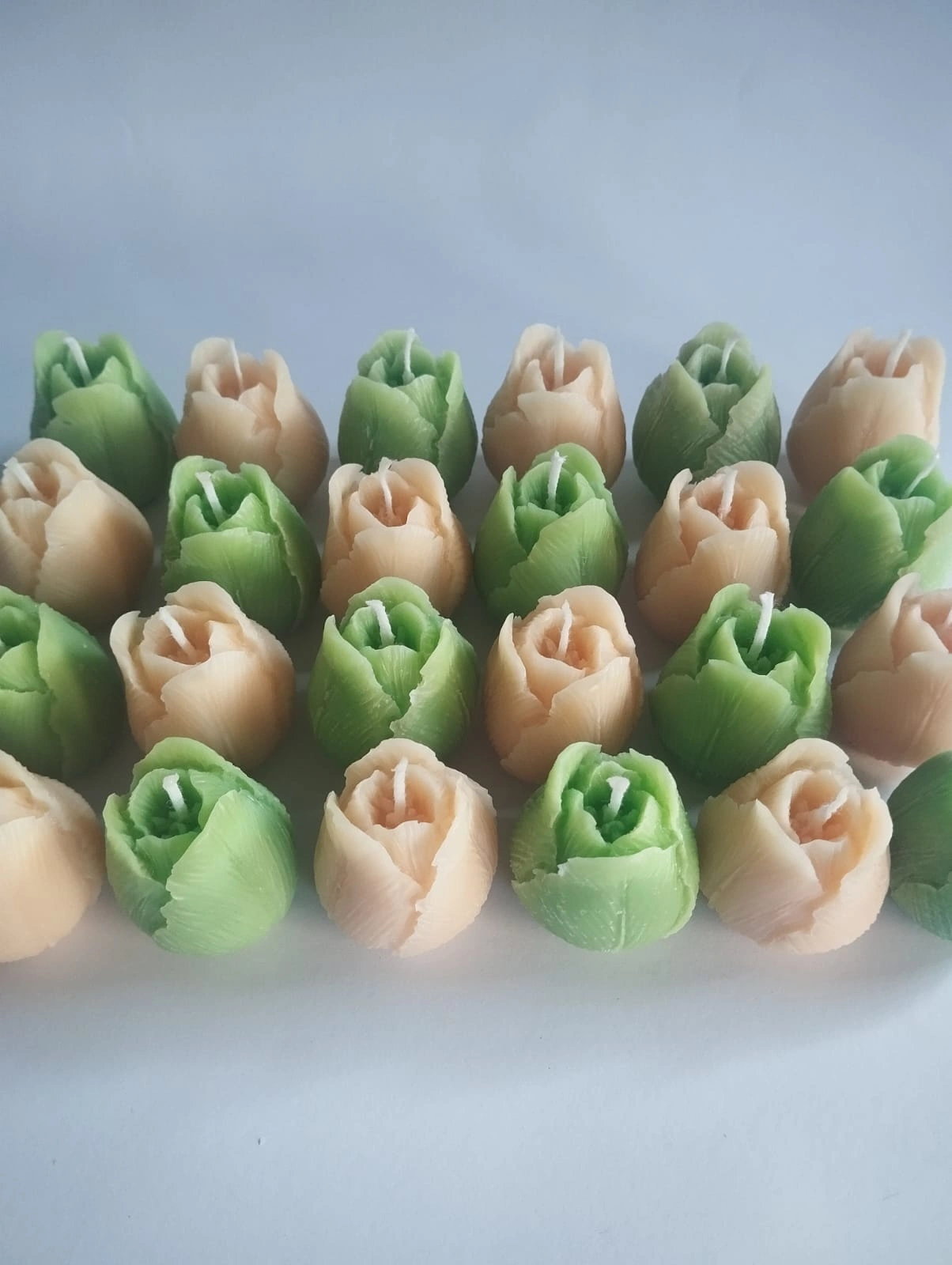 Vela Tulipán